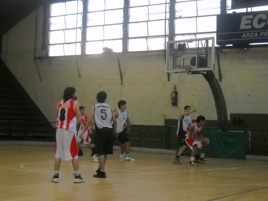 29